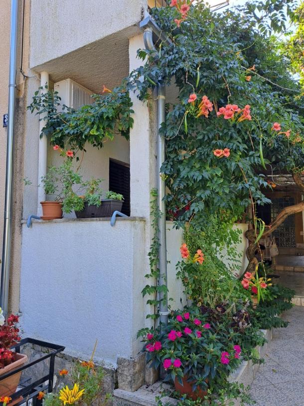 Accomodation Mirjana Rooms Poreč Buitenkant foto